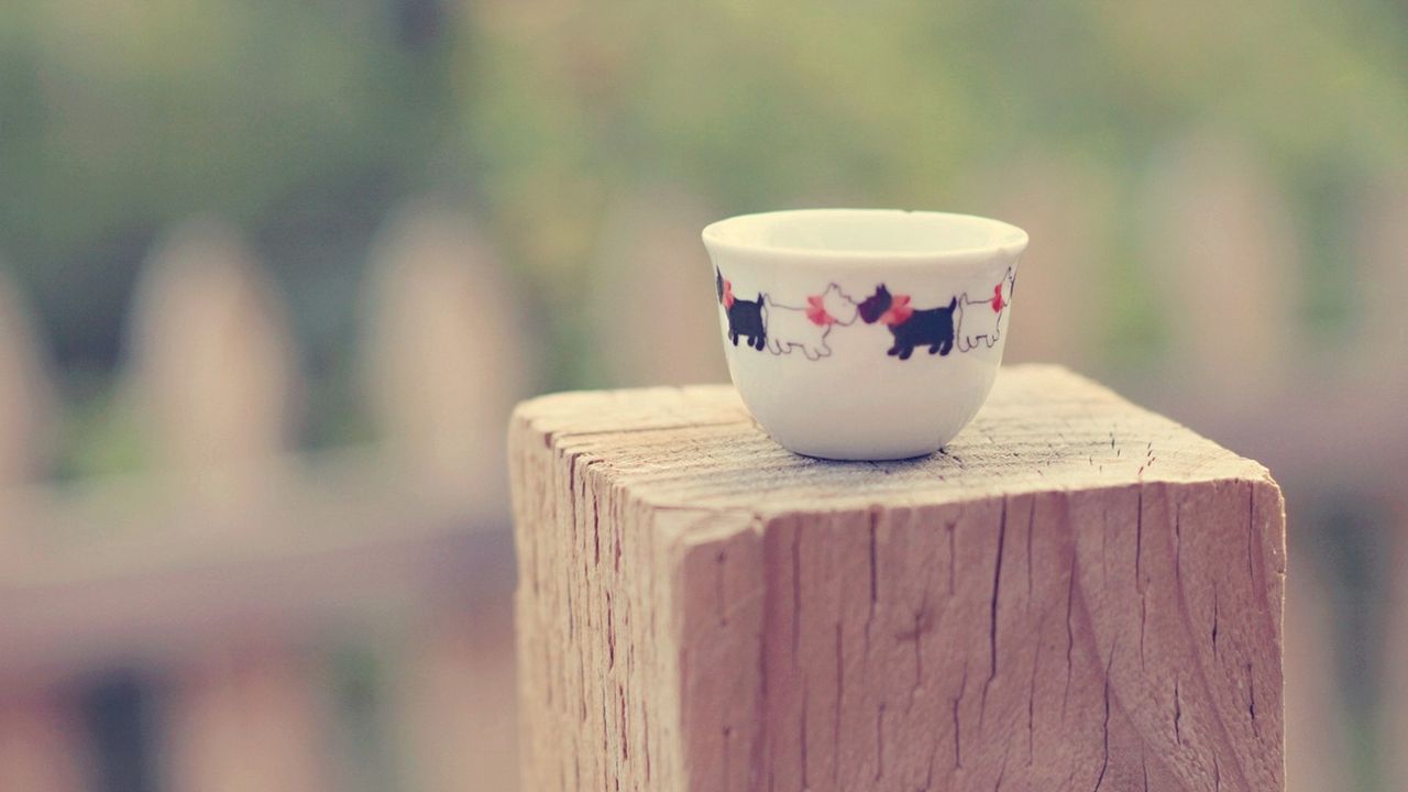 Wallpaper cup, saucer, dog dishes, stump