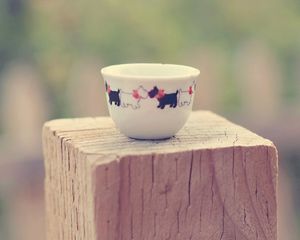 Preview wallpaper cup, saucer, dog dishes, stump