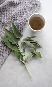 Preview wallpaper cup, tea, branch, plant