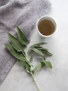 Preview wallpaper cup, tea, branch, plant