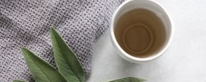 Preview wallpaper cup, tea, branch, plant