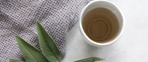 Preview wallpaper cup, tea, branch, plant