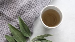Preview wallpaper cup, tea, branch, plant