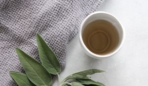 Preview wallpaper cup, tea, branch, plant