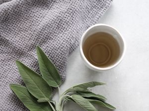 Preview wallpaper cup, tea, branch, plant