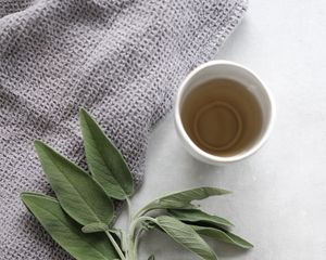 Preview wallpaper cup, tea, branch, plant