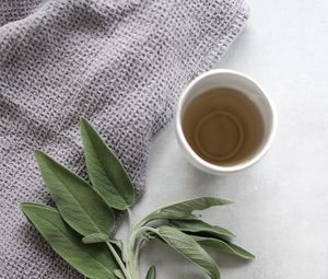 Preview wallpaper cup, tea, branch, plant