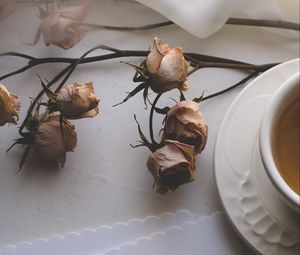 Preview wallpaper cup, tea, flowers, dry, paper, aesthetics