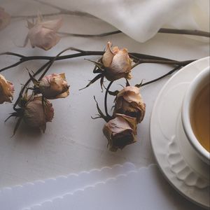Preview wallpaper cup, tea, flowers, dry, paper, aesthetics