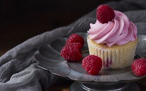 Preview wallpaper cupcake, cake, dessert, raspberry