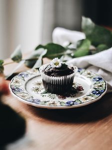 Preview wallpaper cupcake, muffin, pastries, chocolate, chamomile, flower, plate