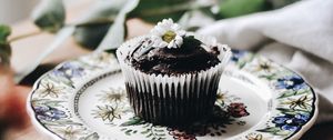 Preview wallpaper cupcake, muffin, pastries, chocolate, chamomile, flower, plate