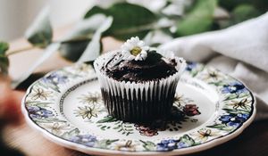 Preview wallpaper cupcake, muffin, pastries, chocolate, chamomile, flower, plate