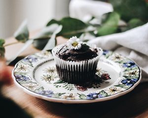 Preview wallpaper cupcake, muffin, pastries, chocolate, chamomile, flower, plate