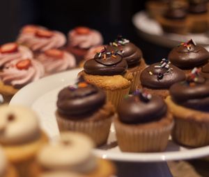 Preview wallpaper cupcakes, dessert, chocolate, food