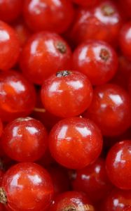 Preview wallpaper currant, berry, red currant