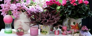 Preview wallpaper cyclamen, heather, kalanchoe, orchids, flowers, vases, candles, window