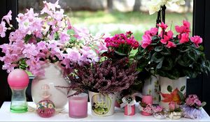 Preview wallpaper cyclamen, heather, kalanchoe, orchids, flowers, vases, candles, window