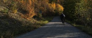 Preview wallpaper cyclist, bike, road, forest, trees