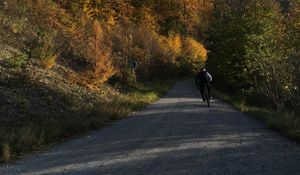 Preview wallpaper cyclist, bike, road, forest, trees