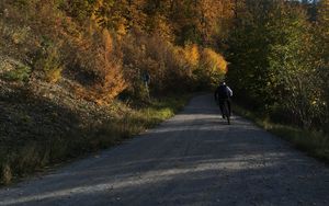 Preview wallpaper cyclist, bike, road, forest, trees