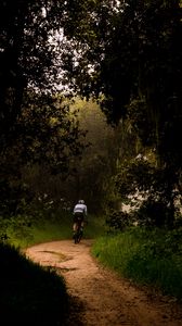 Preview wallpaper cyclist, bike, trees, path