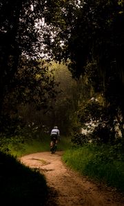 Preview wallpaper cyclist, bike, trees, path