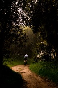 Preview wallpaper cyclist, bike, trees, path