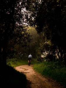 Preview wallpaper cyclist, bike, trees, path