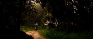 Preview wallpaper cyclist, bike, trees, path