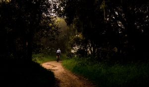 Preview wallpaper cyclist, bike, trees, path