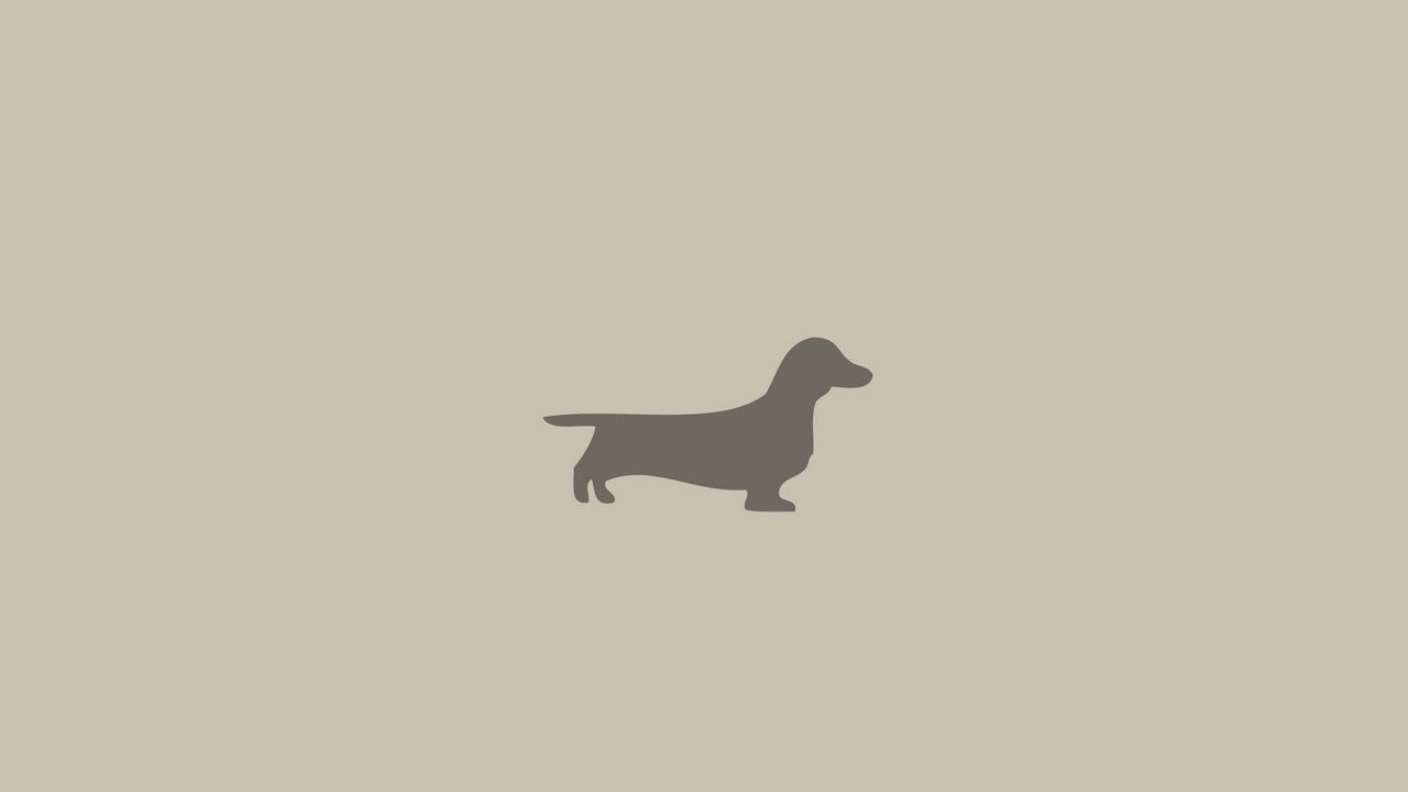 Wallpaper dachshund, dog, minimalism, animal