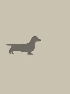 Preview wallpaper dachshund, dog, minimalism, animal