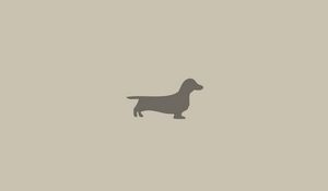 Preview wallpaper dachshund, dog, minimalism, animal