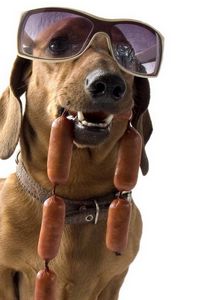 Preview wallpaper dachshund, dog, sunglasses, sausages, cool