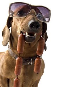 Preview wallpaper dachshund, dog, sunglasses, sausages, cool