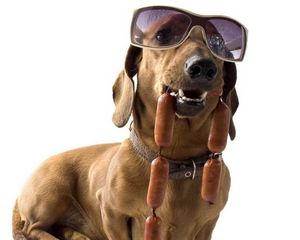 Preview wallpaper dachshund, dog, sunglasses, sausages, cool