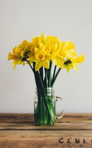 Preview wallpaper daffodils, bouquet, vase