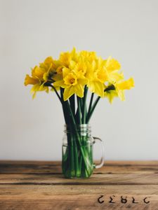 Preview wallpaper daffodils, bouquet, vase