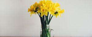 Preview wallpaper daffodils, bouquet, vase