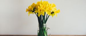 Preview wallpaper daffodils, bouquet, vase