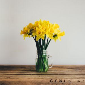 Preview wallpaper daffodils, bouquet, vase