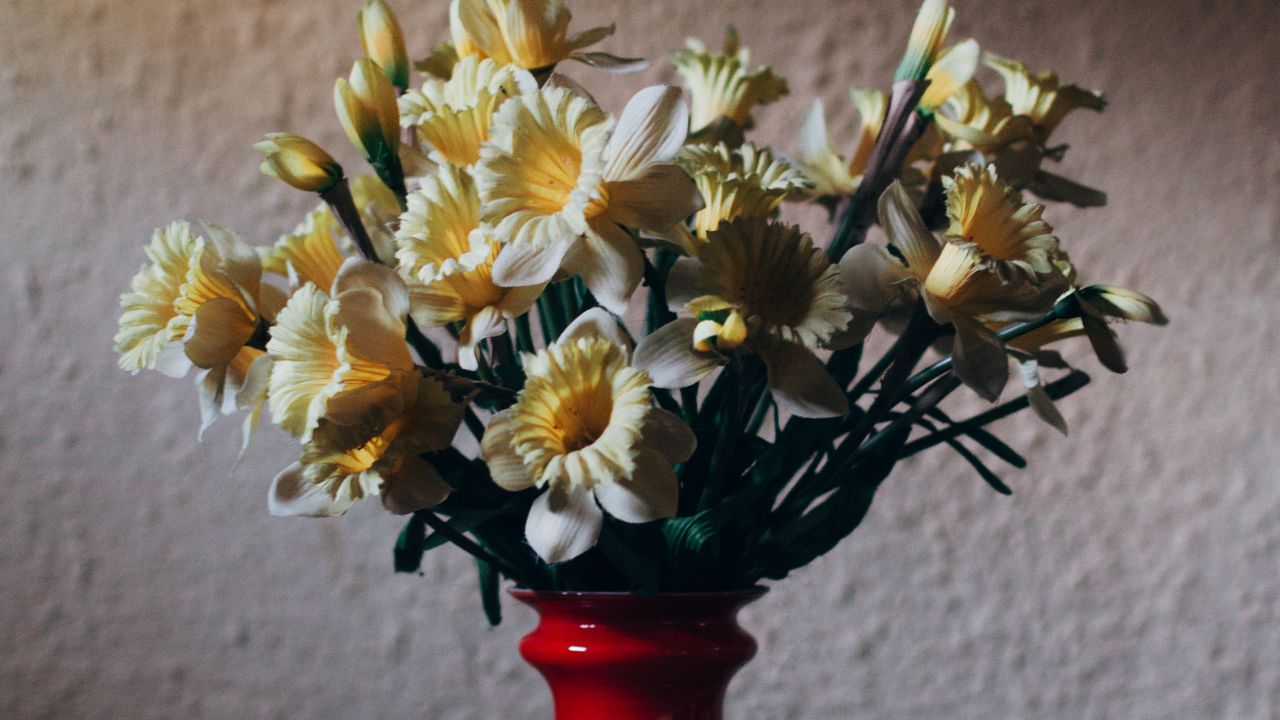Wallpaper daffodils, bouquet, vase