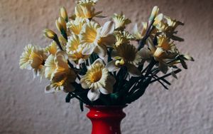 Preview wallpaper daffodils, bouquet, vase