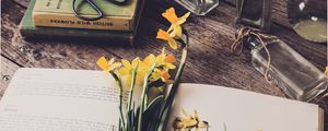 Preview wallpaper daffodils, flowers, book, botany