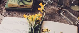 Preview wallpaper daffodils, flowers, book, botany