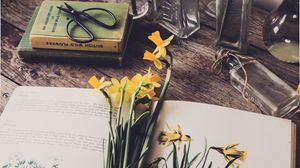 Preview wallpaper daffodils, flowers, book, botany