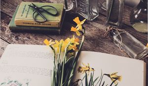 Preview wallpaper daffodils, flowers, book, botany