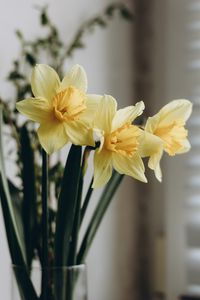 Preview wallpaper daffodils, flowers, bouquet, vase