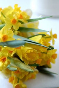 Preview wallpaper daffodils, flowers, bouquet, spring